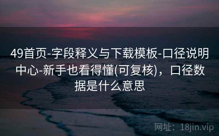 49首页-字段释义与下载模板-口径说明中心-新手也看得懂(可复核)，口径数据是什么意思