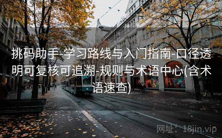 挑码助手-学习路线与入门指南-口径透明可复核可追溯-规则与术语中心(含术语速查)